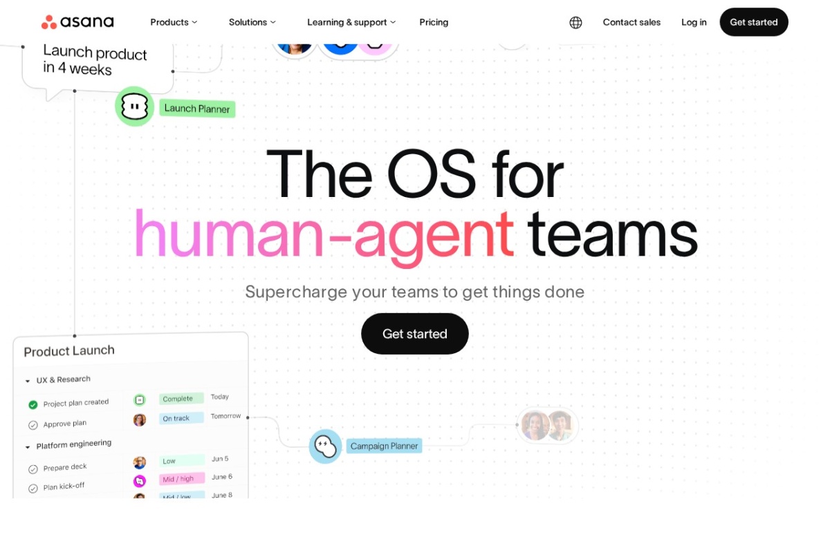 Screenshot of asana.com