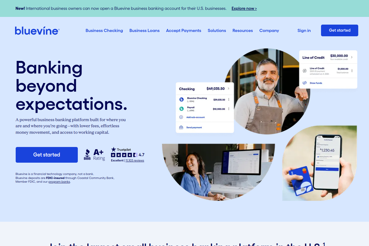 Screenshot of bluevine.com