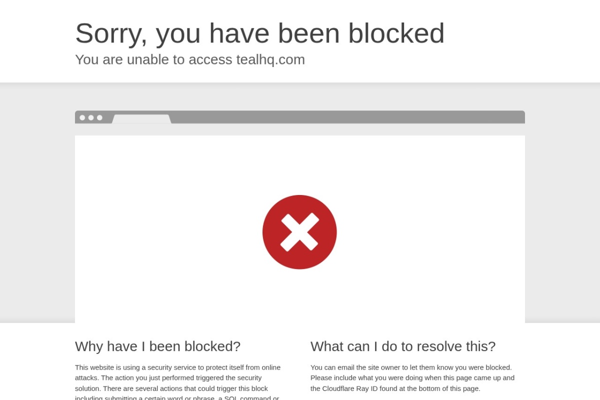 Screenshot of tealhq.com
